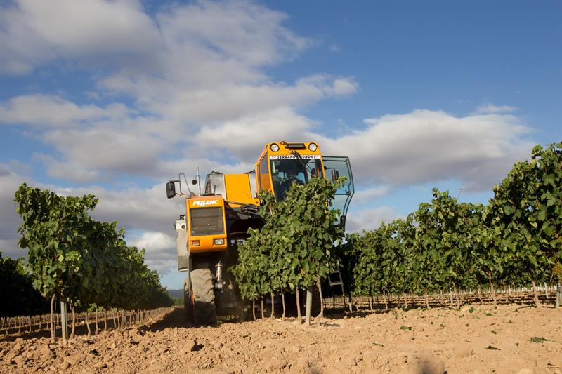 Las cooperativas piden repensar la política agrícola tras el coronavirus