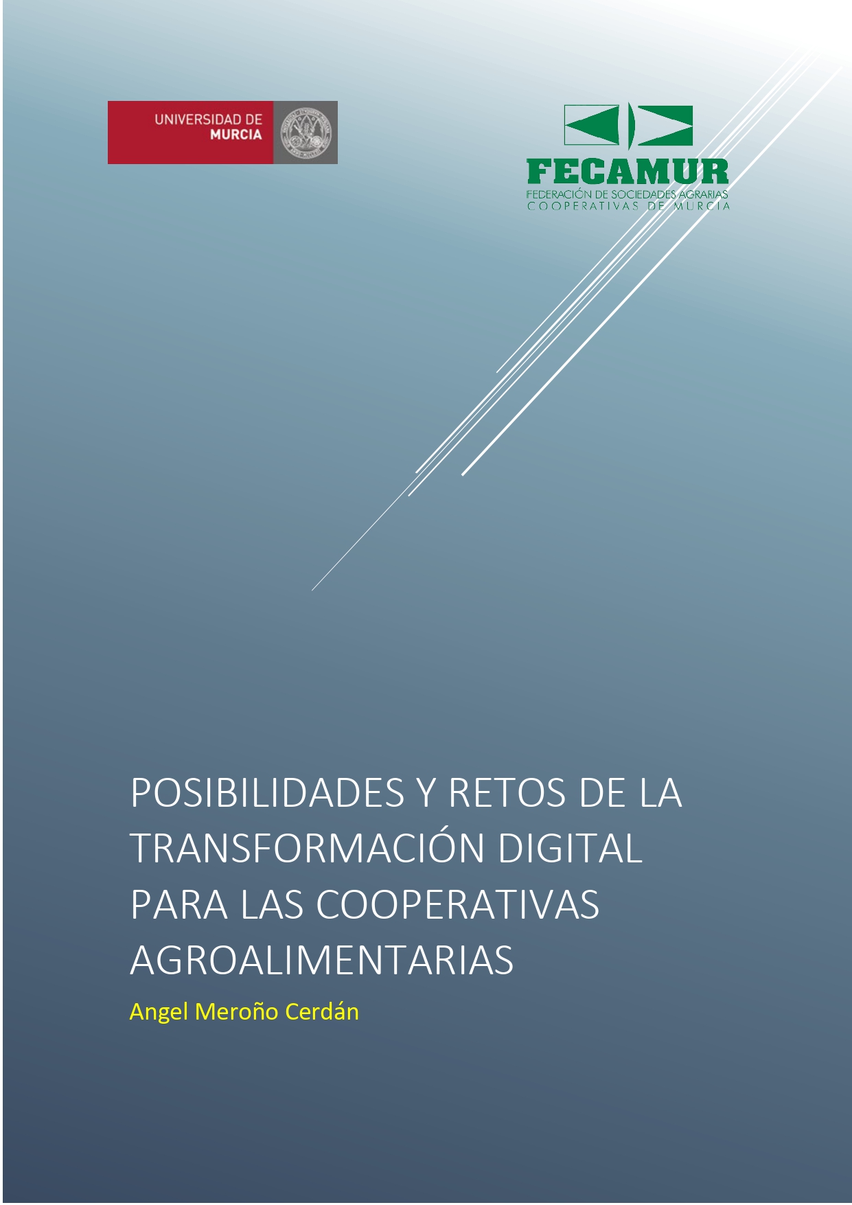 NFORME-POSIBILIDADES-Y-RETOS-DE-LA-TRANSFORMACION-DIGITAL-PARA-LAS-COOPERATIVAS